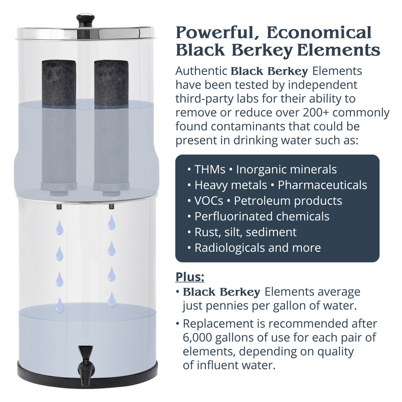 Royal Berkey Water Filter System  Includes 2 Black Berkey Filters